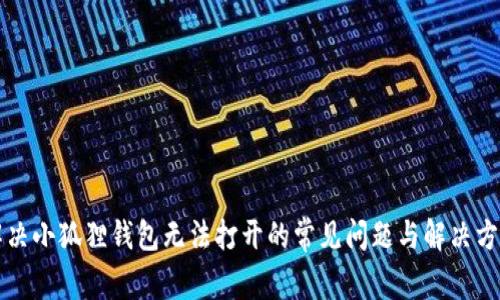解决小狐狸钱包无法打开的常见问题与解决方案